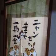 ヒメ日記 2026/01/21 18:31 投稿 しえら BABY LIPS