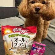 ヒメ日記 2025/06/12 10:29 投稿 はなび 埼玉ちゅっぱ川越店