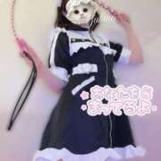 ヒメ日記 2025/06/14 07:46 投稿 M性感ゆきの(11000) 原価デリヘルcospa（コスパ）