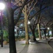 花里あかり 🌙 静かな夜の気分転換 🌙 五反田ヒーローズ（ユメオト）