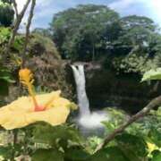 ヒメ日記 2025/06/27 09:02 投稿 岡野かおり Mrs. Dandy Shinjuku