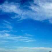 ヒメ日記 2025/06/15 14:18 投稿 久高 みさ HANA-okinawa-