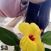 ヒメ日記 2025/06/23 17:36 投稿 久高 みさ HANA-okinawa-