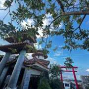 ヒメ日記 2025/08/06 00:45 投稿 久高 みさ HANA-okinawa-