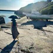 ヒメ日記 2025/09/30 23:39 投稿 久高 みさ HANA-okinawa-