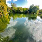 ヒメ日記 2025/11/17 19:33 投稿 久高 みさ HANA-okinawa-