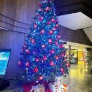 ヒメ日記 2025/12/03 00:33 投稿 久高 みさ HANA-okinawa-