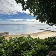 ヒメ日記 2026/01/13 13:33 投稿 久高 みさ HANA-okinawa-