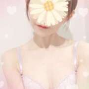 ヒメ日記 2026/01/25 09:59 投稿 雪白 ひまり SUMIRE