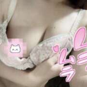 ヒメ日記 2025/10/11 23:23 投稿 ななパニ★抱きたくなる生肌感★ 素股だいすき！名古屋っ娘～わくわく激安パニック～