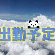 つばさ 出勤予定 成田人妻講座