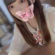 ヒメ日記 2025/07/29 09:55 投稿 緑野　めい スタイリッシュ秘書