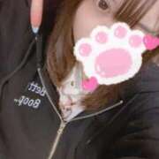 ヒメ日記 2025/12/11 09:30 投稿 緑野　めい スタイリッシュ秘書