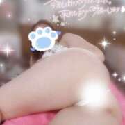 ヒメ日記 2025/12/30 22:16 投稿 ありな★エロ神パイパイ★ 巨乳美乳専門店～激安おっぱいPREMIUM～かわいいは正義!!～本店