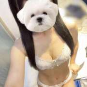 ヒメ日記 2025/11/19 03:33 投稿 くるり★心奪われるような感覚に★ 巨乳美乳専門店～激安おっぱいPREMIUM～かわいいは正義!!～本店