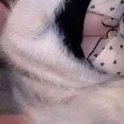 ヒメ日記 2025/06/12 18:57 投稿 あきは☆ご奉仕アンサンブル☆ 巨乳美乳専門店～激安おっぱいPREMIUM～かわいいは正義!!～本店