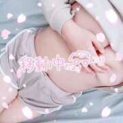 ヒメ日記 2026/02/20 05:58 投稿 そにん☆明るく責めちゃう☆ 巨乳美乳専門店～激安おっぱいPREMIUM～かわいいは正義!!～本店