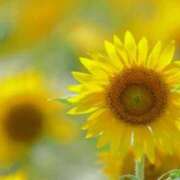 ヒメ日記 2025/06/29 10:16 投稿 二階堂のぞみ ABC 岩手ソープ