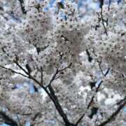 ヒメ日記 2026/04/19 12:16 投稿 二階堂のぞみ ABC 岩手ソープ