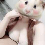 ヒメ日記 2025/11/19 02:24 投稿 ゆずは★小動物系美少女★ GY激安エロ活BRAND