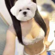 ヒメ日記 2025/09/10 01:20 投稿 みったん☆全身が性感帯☆ GY激安エロ活BRAND