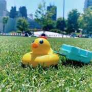 ヒメ日記 2025/06/02 11:13 投稿 水嶋 和葉 東京貴楼館