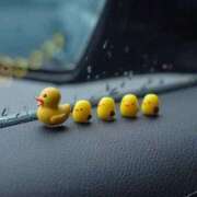 ヒメ日記 2025/06/26 16:04 投稿 水嶋 和葉 東京貴楼館