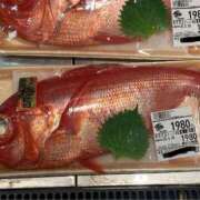 ヒメ日記 2025/05/29 14:54 投稿 ほたる 丸妻 横浜本店