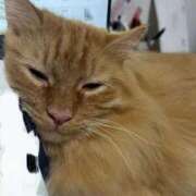 ヒメ日記 2025/06/05 18:23 投稿 ほたる 丸妻 横浜本店