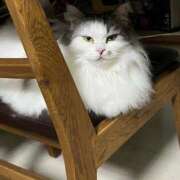 ヒメ日記 2025/06/05 22:01 投稿 ほたる 丸妻 横浜本店