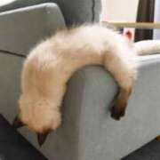 ヒメ日記 2025/08/12 10:29 投稿 ほたる 丸妻 横浜本店