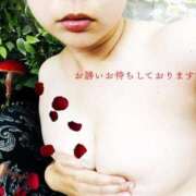 ヒメ日記 2025/08/20 15:22 投稿 ほたる 丸妻 横浜本店