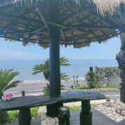 ヒメ日記 2025/06/08 12:04 投稿 藤崎彩花 吉原ファーストレディ