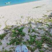 ヒメ日記 2025/06/24 16:46 投稿 藤崎彩花 吉原ファーストレディ