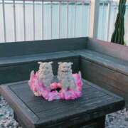 ヒメ日記 2025/06/26 12:30 投稿 藤崎彩花 吉原ファーストレディ