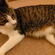 ヒメ日記 2025/08/08 18:06 投稿 藤崎彩花 吉原ファーストレディ