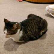 ヒメ日記 2025/08/09 08:59 投稿 藤崎彩花 吉原ファーストレディ