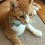 ヒメ日記 2025/08/09 13:16 投稿 藤崎彩花 吉原ファーストレディ