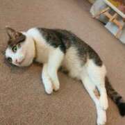 ヒメ日記 2025/08/09 23:57 投稿 藤崎彩花 吉原ファーストレディ