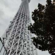 ヒメ日記 2025/08/11 18:17 投稿 藤崎彩花 吉原ファーストレディ