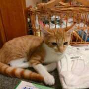 ヒメ日記 2025/08/14 09:46 投稿 藤崎彩花 吉原ファーストレディ