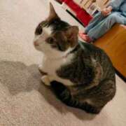 ヒメ日記 2025/08/15 14:30 投稿 藤崎彩花 吉原ファーストレディ