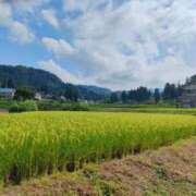 ヒメ日記 2025/09/06 10:16 投稿 藤崎彩花 吉原ファーストレディ