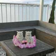 ヒメ日記 2025/09/11 23:36 投稿 藤崎彩花 吉原ファーストレディ