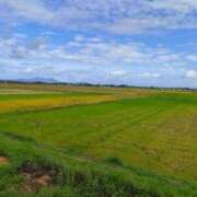 ヒメ日記 2025/09/21 16:56 投稿 藤崎彩花 吉原ファーストレディ