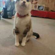 ヒメ日記 2025/10/08 08:56 投稿 藤崎彩花 吉原ファーストレディ