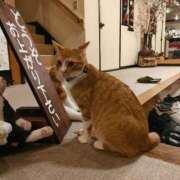 ヒメ日記 2025/10/18 01:16 投稿 藤崎彩花 吉原ファーストレディ