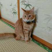 ヒメ日記 2025/10/19 00:36 投稿 藤崎彩花 吉原ファーストレディ