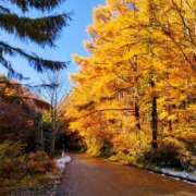 ヒメ日記 2025/11/04 12:59 投稿 藤崎彩花 吉原ファーストレディ