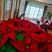 ヒメ日記 2025/11/28 13:28 投稿 藤崎彩花 吉原ファーストレディ